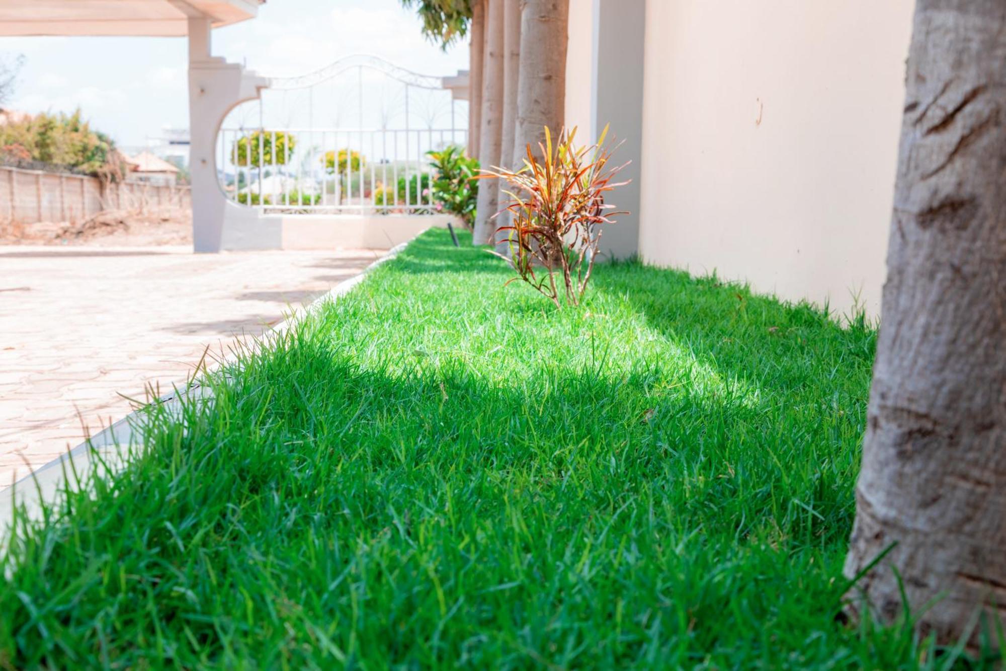 Basil Link Luxury Rooms Dodoma Exterior photo